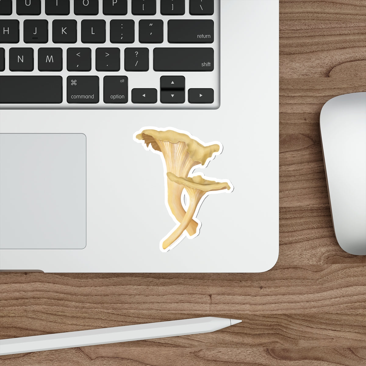 Chanterelle Pair Vinyl Sticker