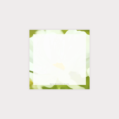 White Cosmos Photo 3x3 Post-it® Note Pad