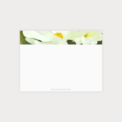 White Cosmos Photo 4x3 Post-it® Note Pad